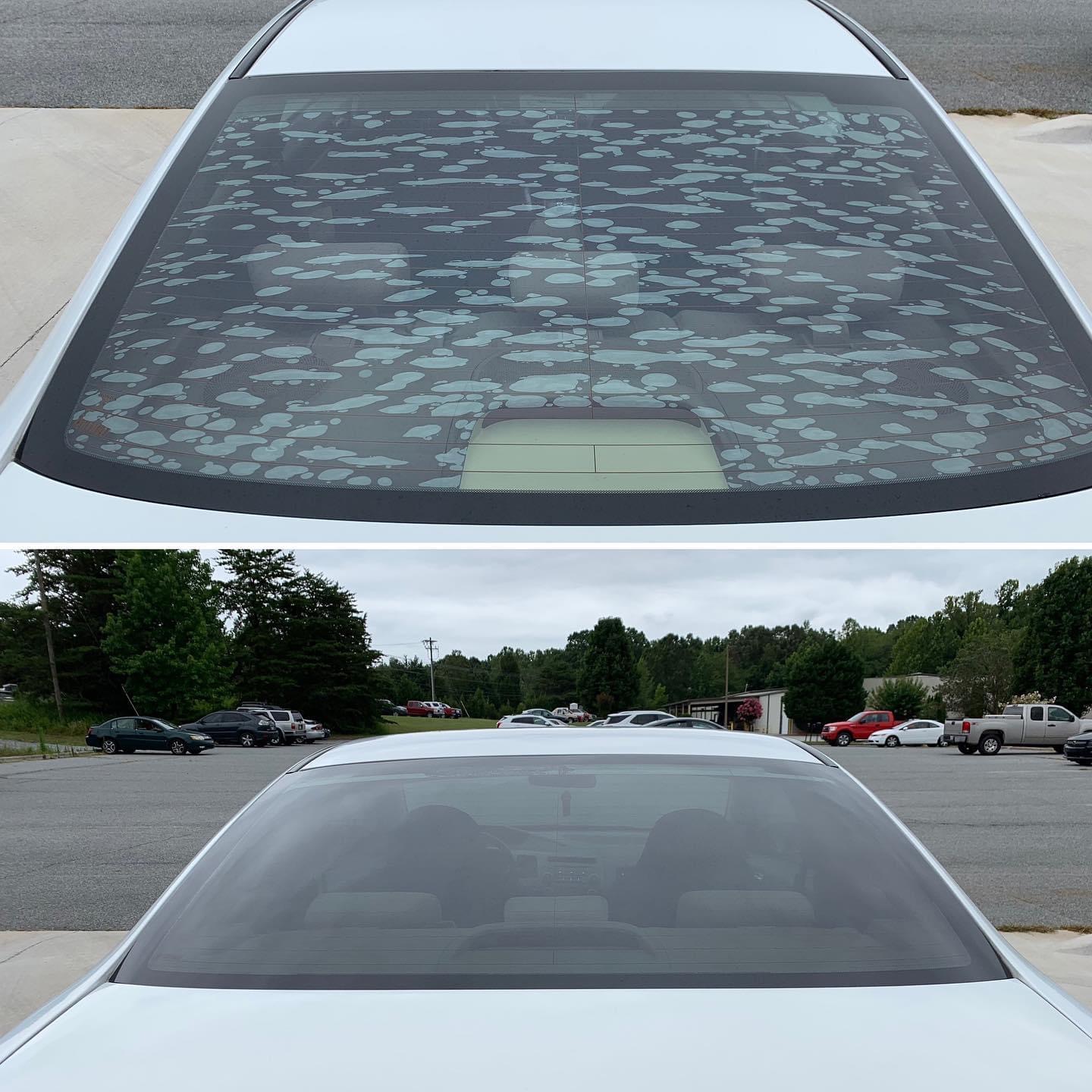 Tinted Windows